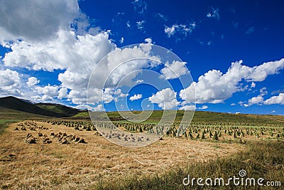 Ruoergai Grassland, Xiahe, Gannan, China Stock Photo