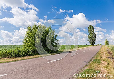 Rural asphalt road among the agricultural grounds in summer Stock Photo