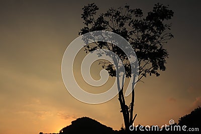 Beautiful natural scenery at sunset behind a hill. Stock Photo