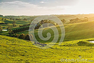 Rural Australia Stock Photo