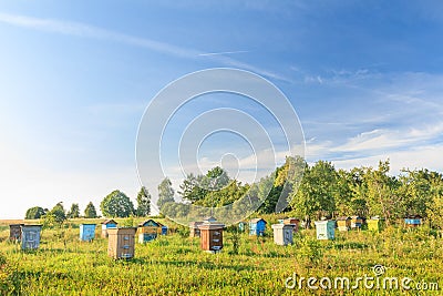 Rural bee-garden with several hives Stock Photo