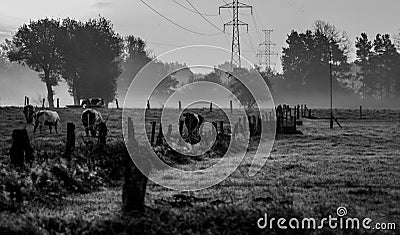 Rural black and white photo Stock Photo