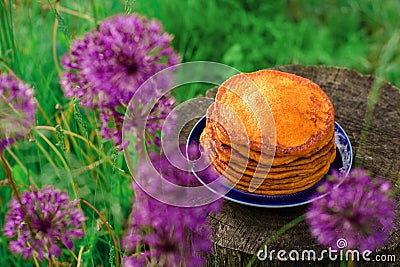 Rural breakfast of a stack of pumpkin pancakes in the fresh air. Picnic with healthy and wholesome food in the nature. Stock Photo