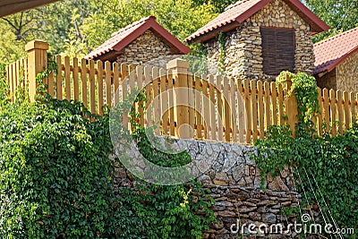 Rural brown wooden fence overgrown with green vegetation Stock Photo
