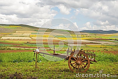 Rural cart in Burma Stock Photo