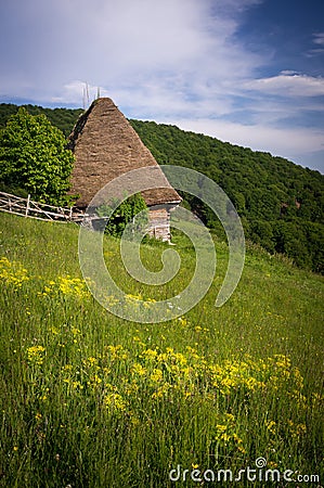 Rural cottage with cane roof in remote rural area of Transylvania mountains Stock Photo