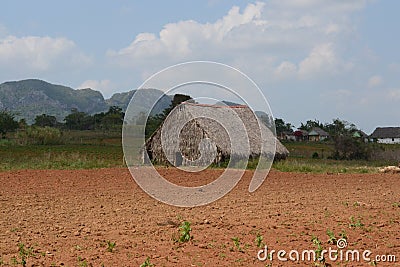 Rural Cuban Hut Stock Photo