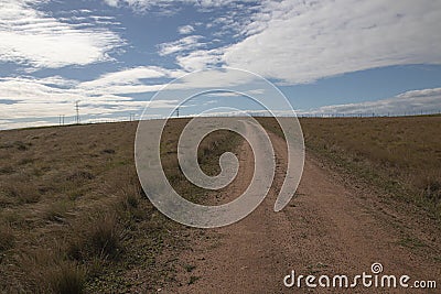 Rural Dirt Road Bordered by Dry Wintery Grass Stock Photo