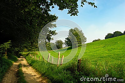 Rural dirt track in grassland Stock Photo