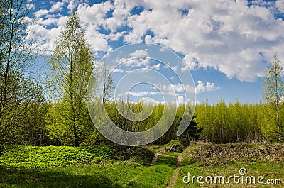 Rural dirty road Stock Photo