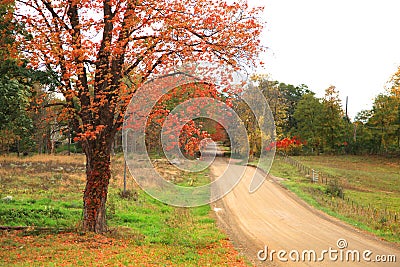 Rural drive Stock Photo