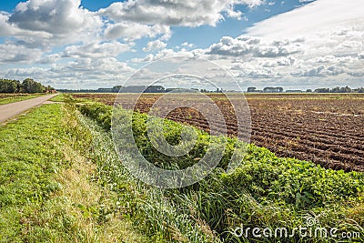Rural Dutch landscape in autumn Stock Photo