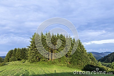 Rural Eifel landscape with forest and green meadow Stock Photo