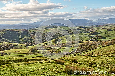 A rural English scene with grazing sheep and rolling countryside on a sunny day. Stock Photo