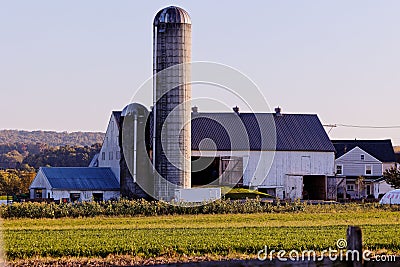 Rural farmstead featuring an old wooden barn in the background Stock Photo