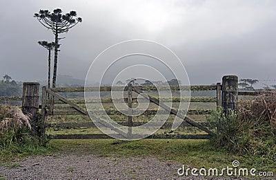 Rural Gate Stock Photo