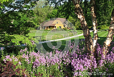 Rural Home and Flowers Stock Photo