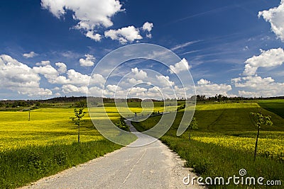 Rural houses and large barns in the fields Stock Photo