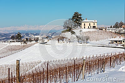 Rural houses and vineyards on snowy hills Stock Photo