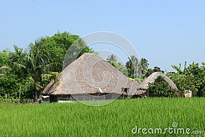 Rural Hut Stock Photo