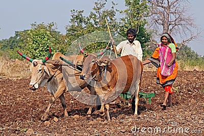 Rural India Editorial Stock Photo