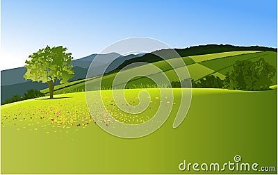 Rural landscape Vector Illustration