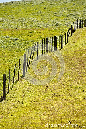 Rural Landscape Stock Photo