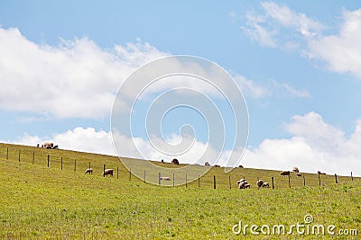 Rural Landscape Stock Photo