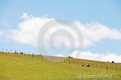 Rural Landscape Stock Photo