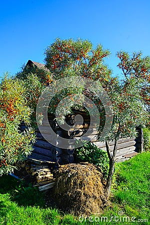 Rural landscape behind the house Stock Photo