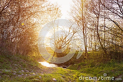 Rural landscape with bourn, blooming trees, sunny spring nature Stock Photo