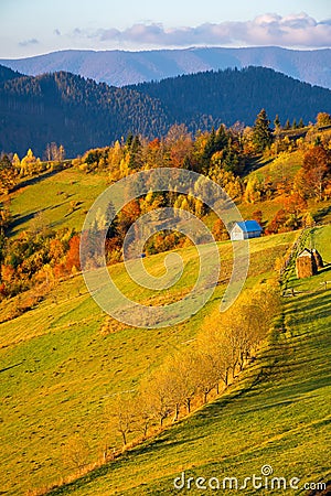 Rural landscape of carpathian mountains at sunrise Stock Photo