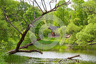 Rural landscape with ethnic house. Stock Photo