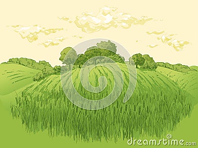 Rural landscape field wheat. Hand drawn vector Countryside landscape engraving style illustration. Vector Illustration