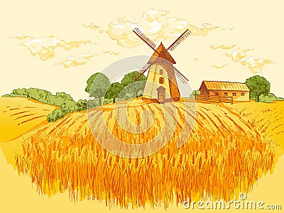 Rural landscape field wheat. Hand drawn vector Countryside landscape engraving style illustration. Vector Illustration