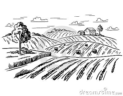 Rural landscape in graphical style Vector Illustration