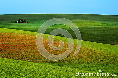 Rural spring landscape Stock Photo