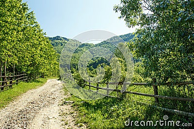 Rural Landscape Stock Photo