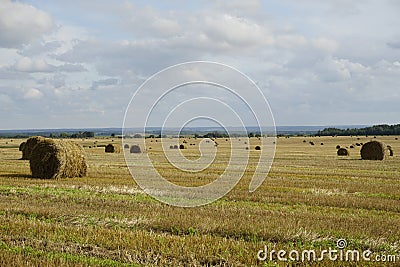Rural landscape. Harvested field and straw bales. Blue sky. Horizon. August. Stock Photo