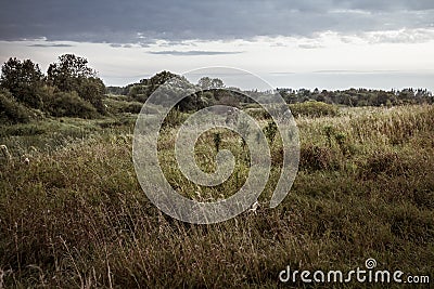 Rural landscape during hunting season with hunters in tall grass in rural field with dramatic sky during dusk Stock Photo