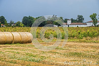 Rural landscape near Busseto, Italy Stock Photo