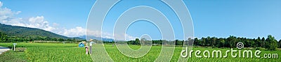 Rural landscape panorama with green rice fields Stock Photo