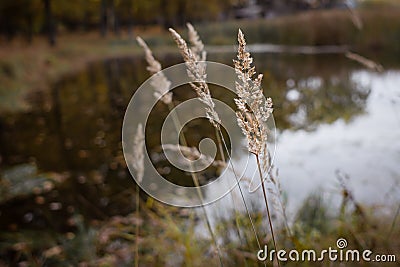 Calm lake landscape at sunset Stock Photo