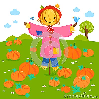 A scarecrow at the farm in a pumpkin field. Vector illustration Vector Illustration