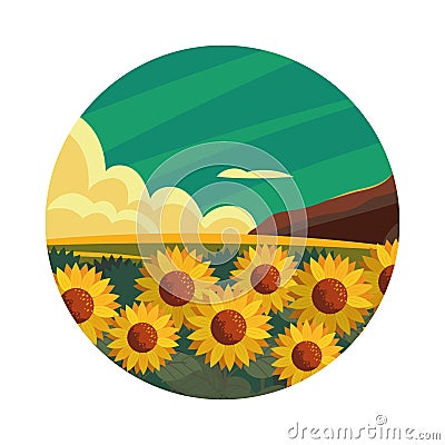 rural landscape sunflowers Vector Illustration