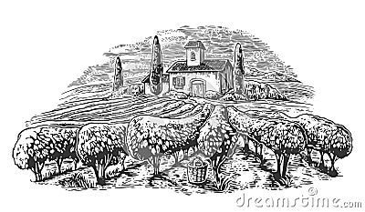 Rural landscape with villa, vineyard fields and hills. Black and white drawn vintage vector illustration for label, poster Vector Illustration