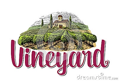 Rural landscape with villa, vineyard fields and hills. Vector Illustration