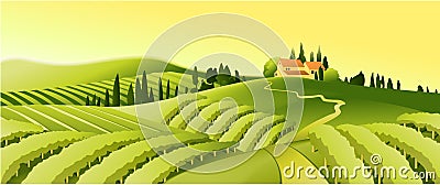 Rural landscape with vineyard Vector Illustration