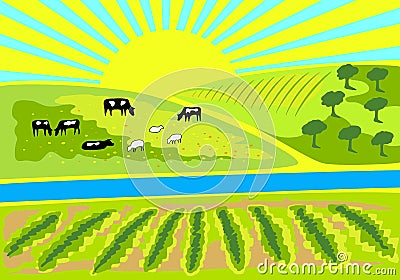 Rural landscape with vineyard, an olive grove and pasture with grazing cows and sheep. Vector Illustration