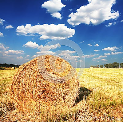 Rural landscapes Stock Photo